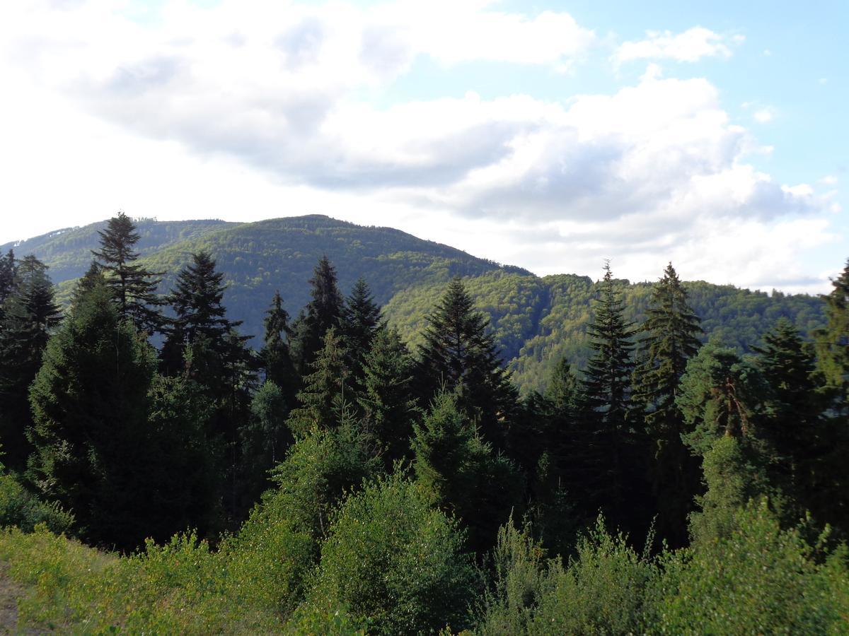 Kwiatowe Zacisze Villa Szczyrk Luaran gambar
